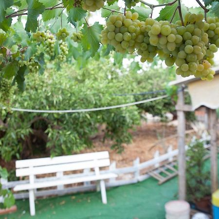 Acqua Di Mare Bed & Breakfast Locogrande ภายนอก รูปภาพ