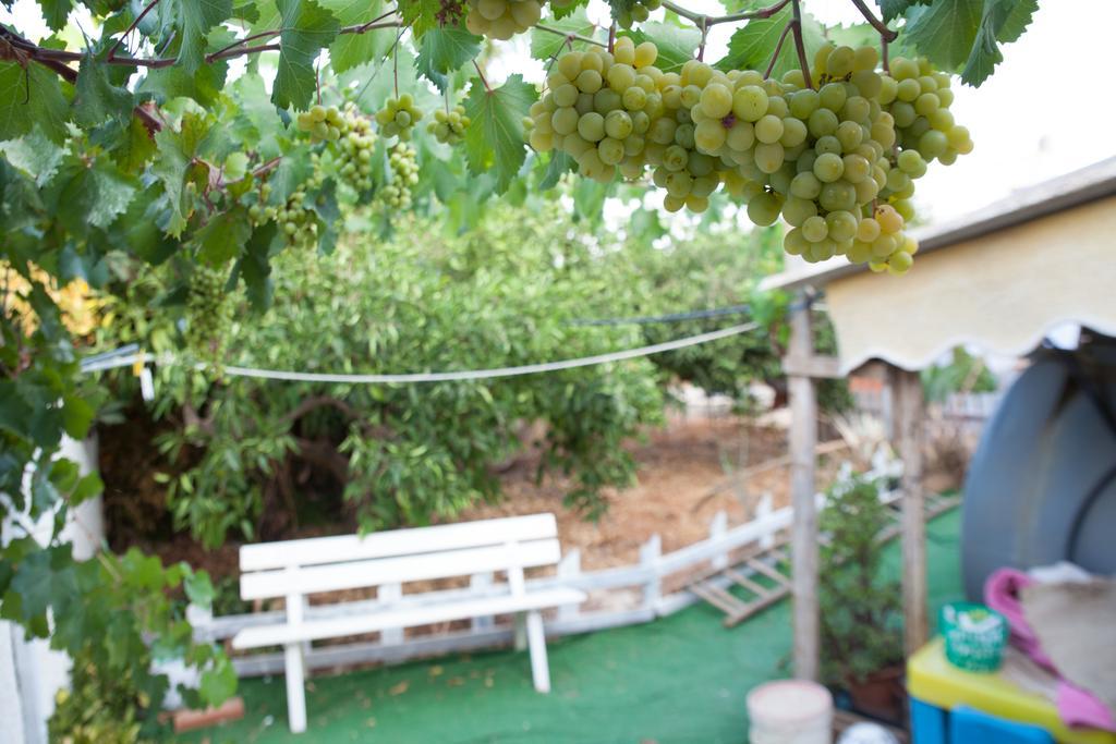 Acqua Di Mare Bed & Breakfast Locogrande ภายนอก รูปภาพ